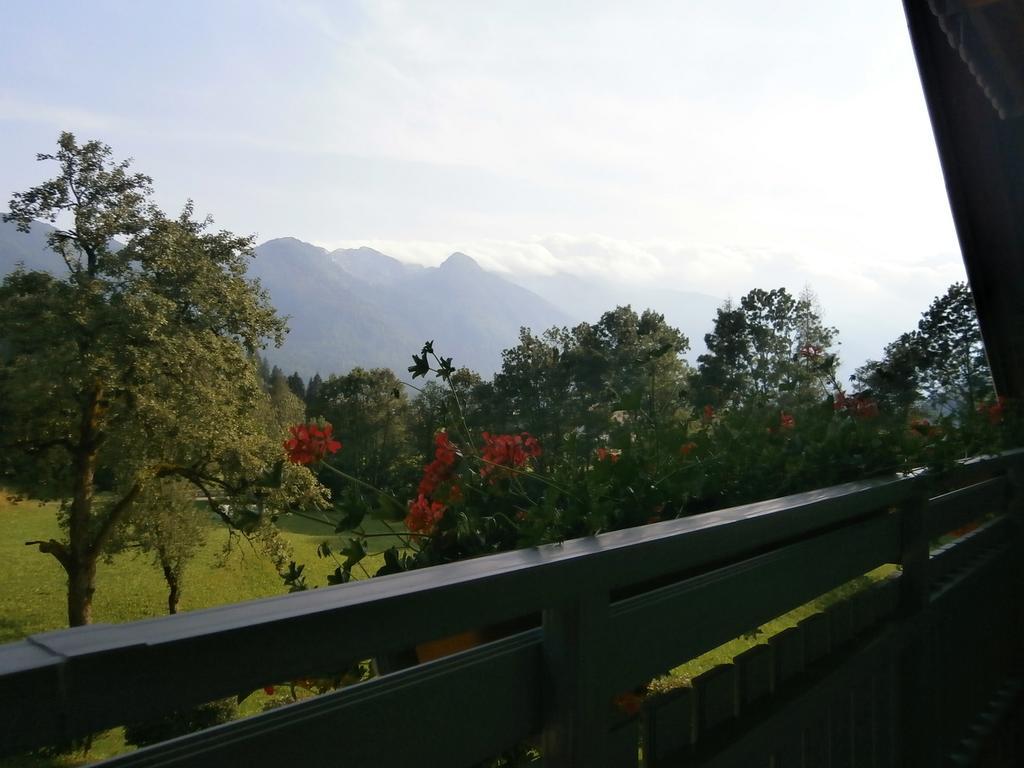 Apartment Zvan Bohinj Phòng bức ảnh