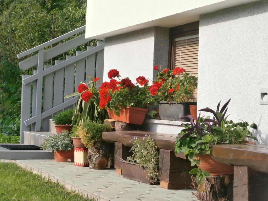 Apartment Zvan Bohinj Phòng bức ảnh