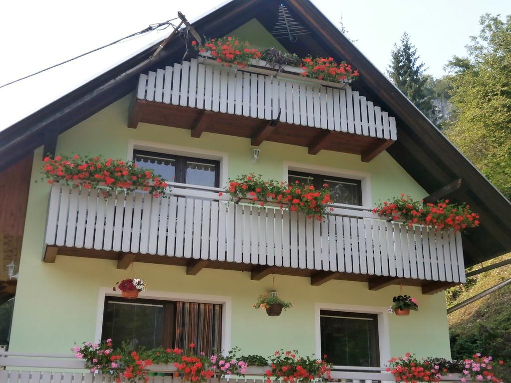 Apartment Zvan Bohinj Phòng bức ảnh
